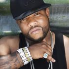 gorilla zoe