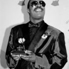 stevie wonder