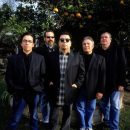 los lobos
