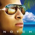 notch