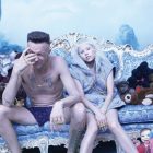 die antwoord