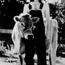 norman greenbaum