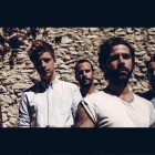 foals