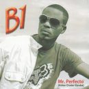 b1