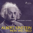 albert einstein - talking about politics