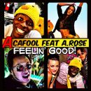 acafool